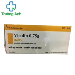 Visulin 0,75g VCP - Thuốc kháng sinh điều trị nhiễm khuẩn