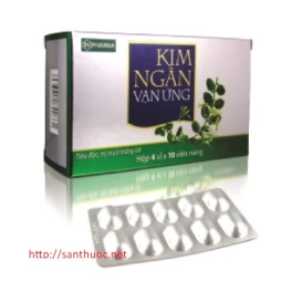 Kim ngân vạn ứng - Thuốc điều trị mụn trứng cá hiệu quả