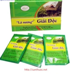 Lá n­ương giải độc 20 - Giúp thanh nhiệt, giải độc hiệu quả