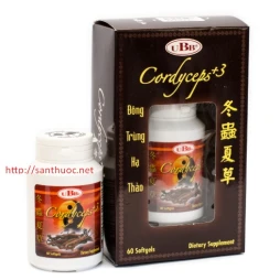 Đông trùng hạ thảo UBB Cordyceps - Giúp tăng cường sức khỏe hiệu quả