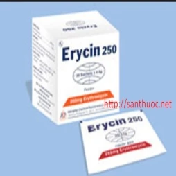Erycin 250 - Thuốc điều trị nhiễm khuẩn hiệu quả