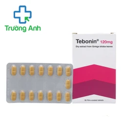 Tebonin 120mg - Điều trị rối loạn tuần hoàn máu não của Đức