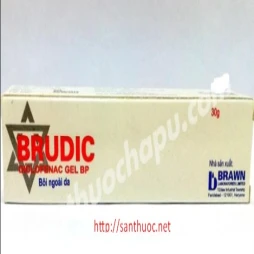 Brudic 30g - Thuốc giúp điều trị viêm đau xương khớp hiệu quả
