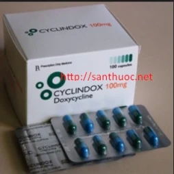 Cyclindox - Thuốc kháng sinh hiệu quả