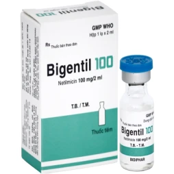 Bigentil 100 - Thuốc điều trị bệnh nhiễm khuẩn của Bidiphar 1