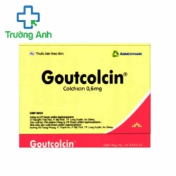 Goutcolcin 0,6 - Thuốc trị bệnh gout hiệu quả của Agimexpharm
