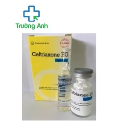 CEFTRIAXON EG 1g/3,5ml - Thuốc điều trị nhiễm khuẩn của Pymepharco