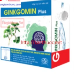 Ginkgomin Plus - Giúp tăng cường lưu thông máu hiệu quả
