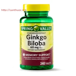 Ginkgo biloba 120mg - Giúp điều trị thiểu năng tuần hoàn não hiệu quả