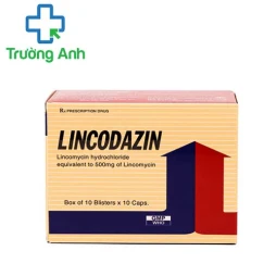 LINCODAZIN 500 MG - Thuốc chống nhiễm khuẩn của Vidipha 