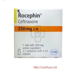 Rocephin IV 250mg - Thuốc điều trị nhiễm trùng hiệu quả của Thụy Sỹ