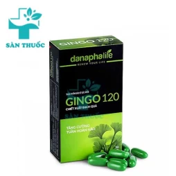 Gingo 120 Danapha - Hỗ trợ tăng cường tuần hoàn máu não