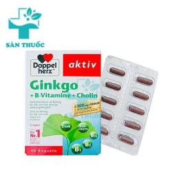 Ginkgo + B-vitamins + Choline Doppel - Giúp tăng cường não bộ