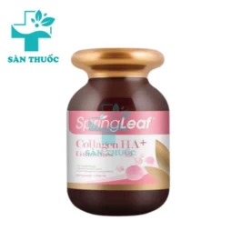 SpringLeaf Collagen HA+ Gummies - Hỗ trợ làm đẹp da của Úc
