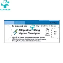 Allopurinol 100mg Nippon Chemiphar