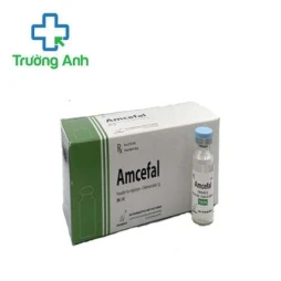 Amcefal Amvipharm - Điều trị nhiễm khuẩn đường hô hấp dưới