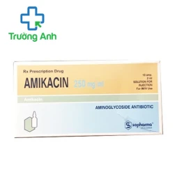 Amikacin 250mg/ml Sopharma - Thuốc chống nhiễm khuẩn của Bulgaria