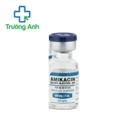 Amikacin 500mg/2ml Pharbaco - Điều trị nhiễm khuẩn hiệu quả