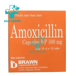 Amoxicillin 500mg Brawn - Thuốc kháng sinh trị nhiễm khuẩn