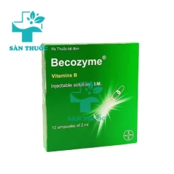 Becozyme Inj.2ml - Giúp bổ sung vitamin hiệu quả