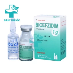 Bicefzidim 1g - Thuốc điều trị nhiễm khuẩn của Bidiphar