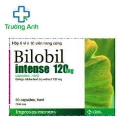 Bilobil Intenes 120 capsules, hard Krka - Thuốc trị rối loạn tuần hoàn máu