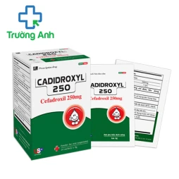 CADIDROXYL 250 USP - Thuốc chống nhiễm khuẩn hiệu quả