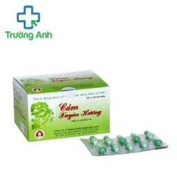 Cảm xuyên hương Hanapharm - Thuốc điều trị cảm cúm hiệu quả