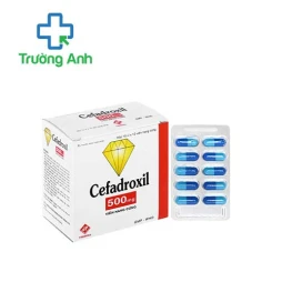 Cefadroxil 500mg Vidipha - Thuốc điều trị nhiễm khuẩn hiệu quả