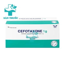 Cefotaxone 1g Bidiphar - Thuốc điều trị nhiễm khuẩn nặng hiệu quả