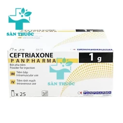 Ceftriaxone 1g - Thuốc điều trị bệnh nhiễm khuẩn nặng của Panpharma
