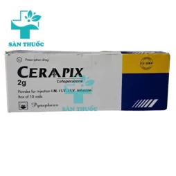 Ceraapix 2g Pymepharco - Thuốc kháng sinh trị nhiễm khuẩn