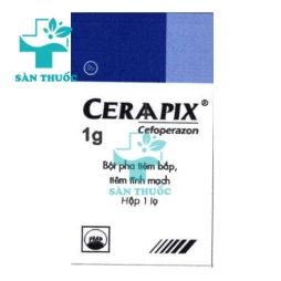 CERAAPIX 1g - Thuốc điều trị nhiễm khuẩn hiệu quả của Pymepharco