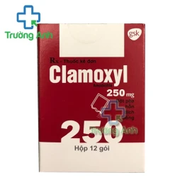 Clamoxyl 250mg - Thuốc điều trị nhiễm trùng hiệu quả