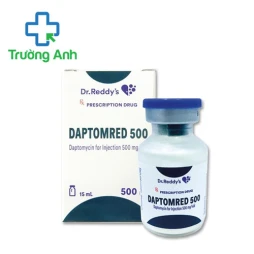 Daptomred 500 Dr. Reddy’s - Thuốc kháng sinh trị nhiễm khuẩn