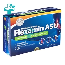 Flexamin ASU - Giúp tăng cường nuôi dưỡng và tái tạo sụn khớp