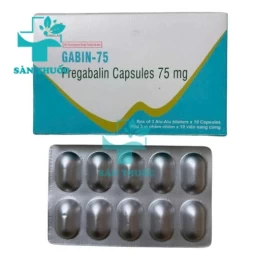Gabin-75 Windlas