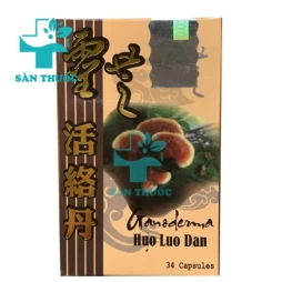 Ganoderma Huo Luo Dan - Linh Chi Hoạt Lạc Đơn