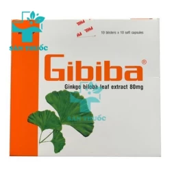 Gibiba - Tăng cường tuần hoàn máu não hiệu quả