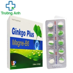 GINKGO PLUS MAGNE -B6 USP - Giúp cải thiện tuần hoàn máu não 