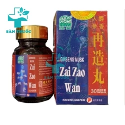 Ginseng musk Zai Zao Wan - Hỗ trợ điều trị xương khớp