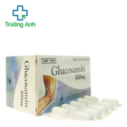 Glucosamin 500mg - Thuốc điều trị đau xương khớp của Donaipharm