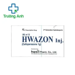 Menzomi Inj 2g Hwail Pharm - Điều trị các trường hợp nhiễm khuẩn