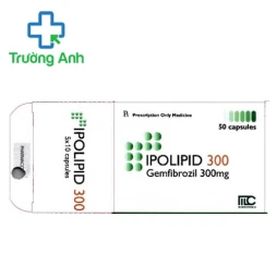 Ipolipid 300 Medochemie - Thuốc điều trị tăng lipid máu hiệu quả