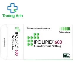 Ipolipid 600 Medochemie - Thuốc điều trị tăng lipid máu