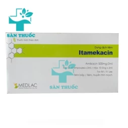 Itamekacin 500mg/2ml - Thuốc điều trị nhiễm khuẩn hiệu quả