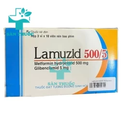 Lamuzid 500/5 SaviPharm - Thuốc điều trị bệnh đái tháo đường
