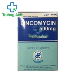 Lincomycin 500mg Pharbaco (TW1) - Thuốc điều trị nhiễm khuẩn nặng