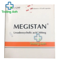 Megistan 300mg Phil Inter Pharma - Thuốc điều trị sỏi túi mật