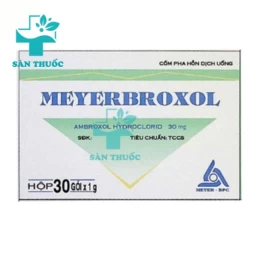 Meyerbroxol Meyer - BPC - Thuốc điều trị bệnh đường hô hấp